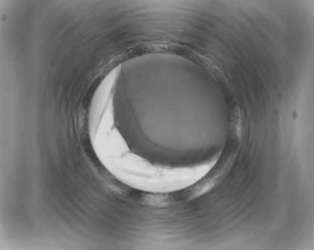 X0000085820139200704132021