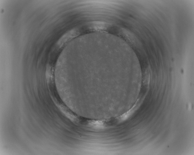 X0000085820140200704132021