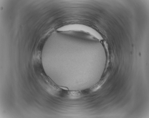 X0000085820141200704132021