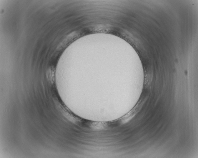 X0000085820142200704132021