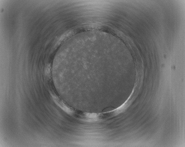 X0000085820144200704132021