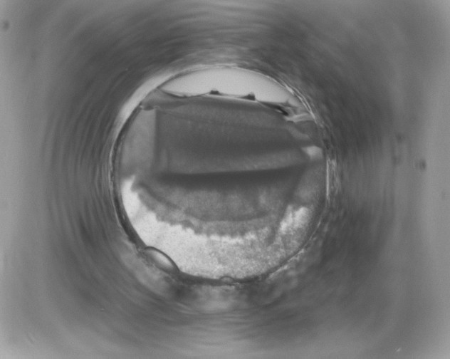 X0000085820147200704132021