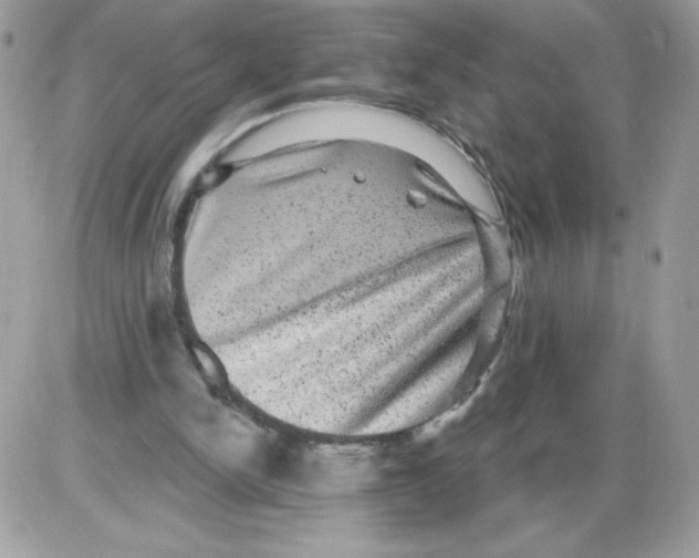 X0000085820150200704132021