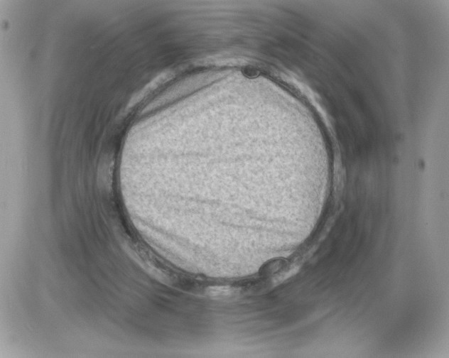 X0000085820153200704132021