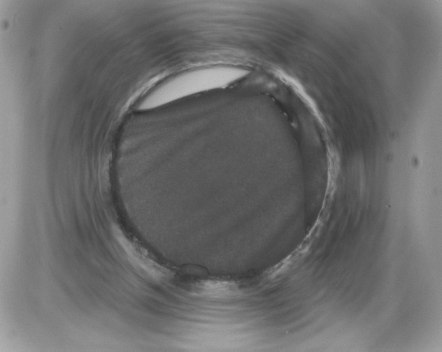 X0000085820154200704132021
