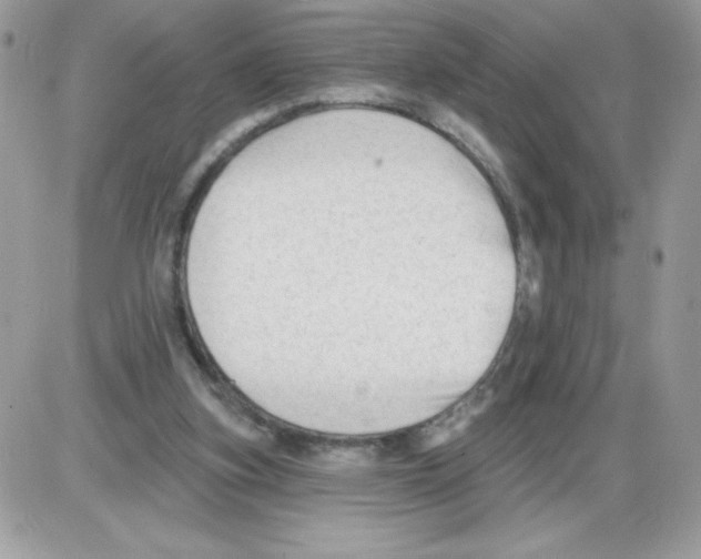 X0000085820155200704132021