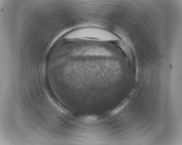 X0000085820156200704132021