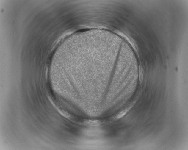 X0000085820157200704132021