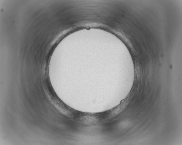 X0000085820159200704132021
