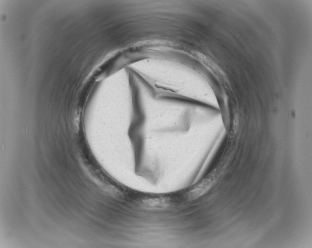 X0000085820160200704132021