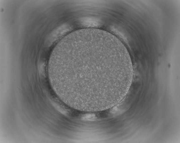 X0000085820162200704132021