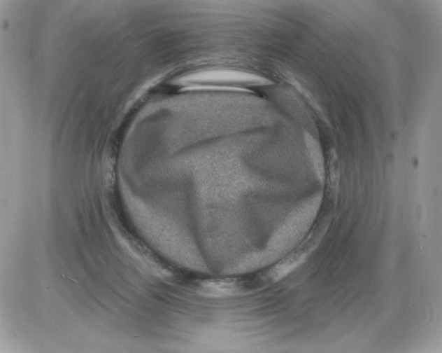 X0000085820164200704132021