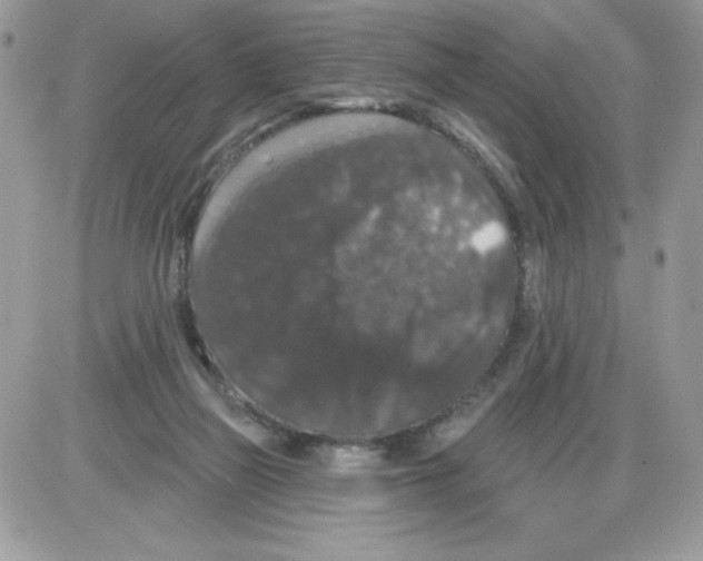 X0000085820165200704132021
