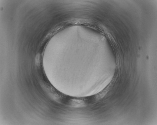 X0000085820167200704132021