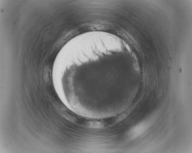 X0000085820169200704132021