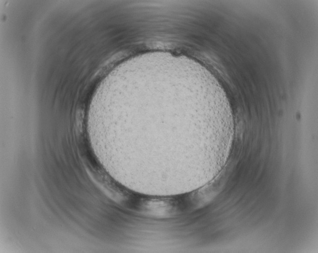 X0000085820171200704132021