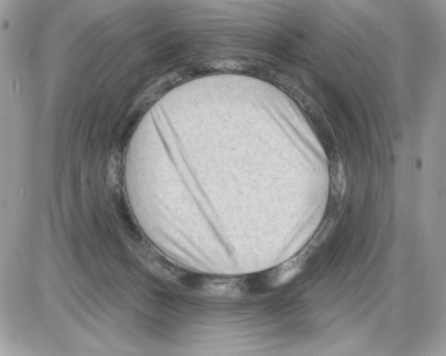 X0000085820175200704132021