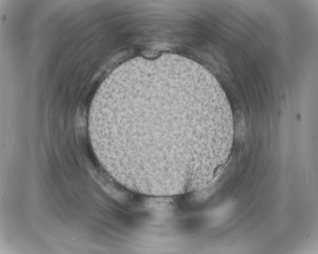 X0000085820179200704132021