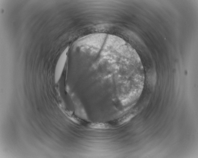X0000085820181200704132021