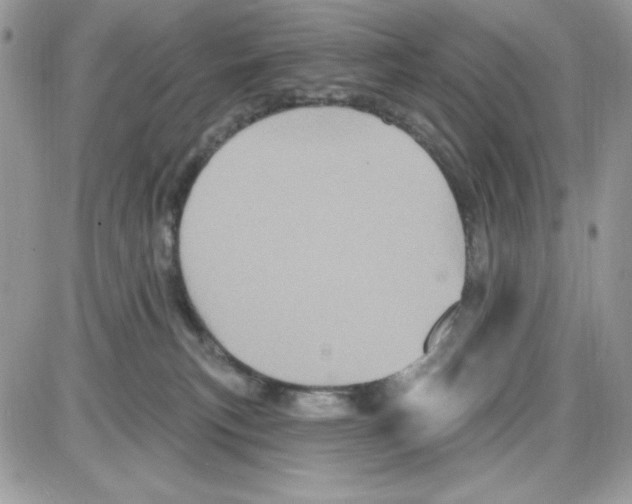 X0000085820183200704132021