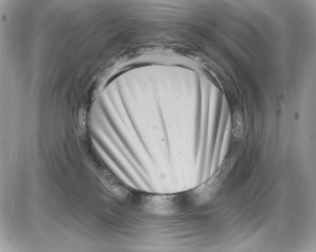 X0000085820184200704132021