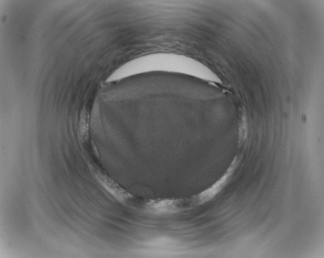 X0000085820186200704132021