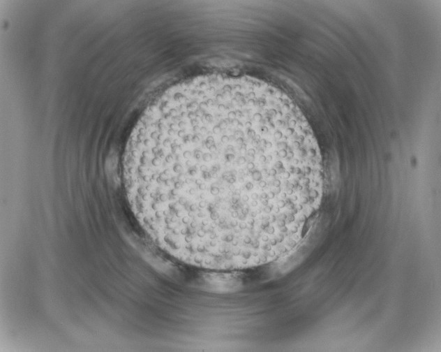 X0000085820187200704132021