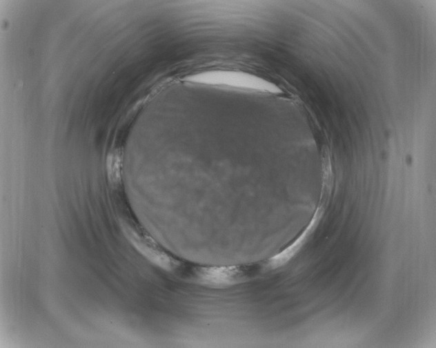 X0000085820191200704132021