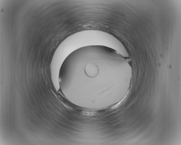 X0000085820192200704132021