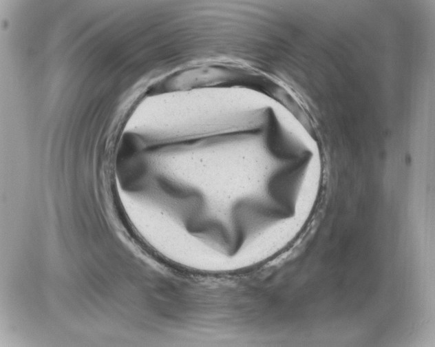 X0000085820193200704132021