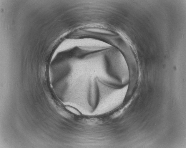 X0000085820201200704132020