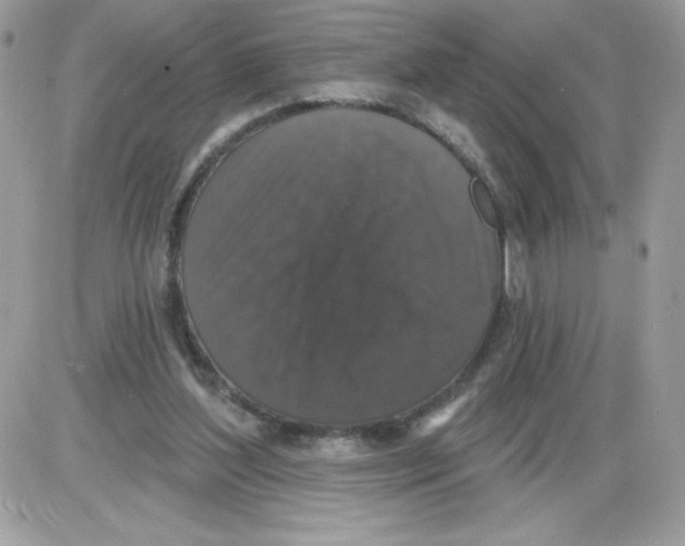 X0000085820204200704132020