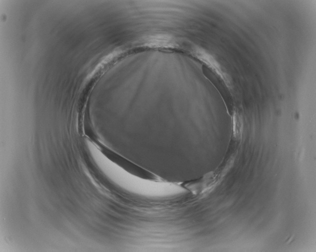 X0000085820205200704132020