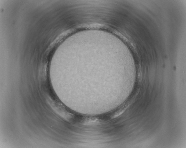 X0000085820206200704132020
