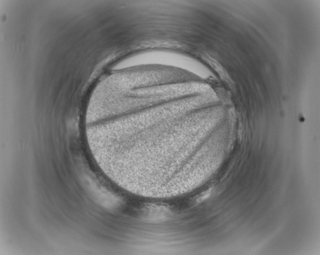 X0000085820207200704132020