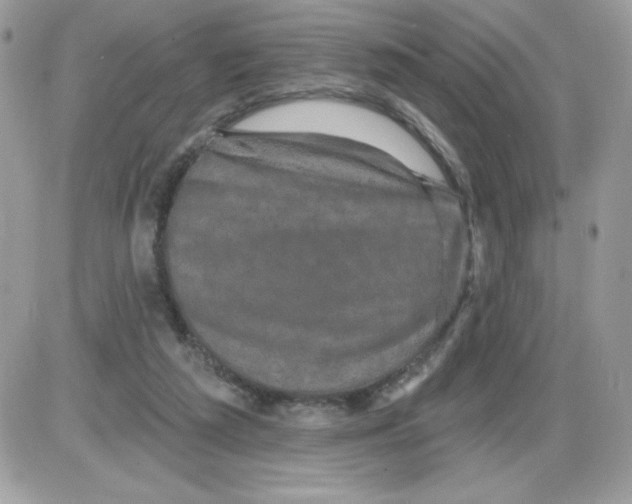 X0000085820209200704132020