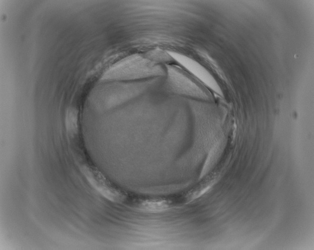 X0000085820213200704132020