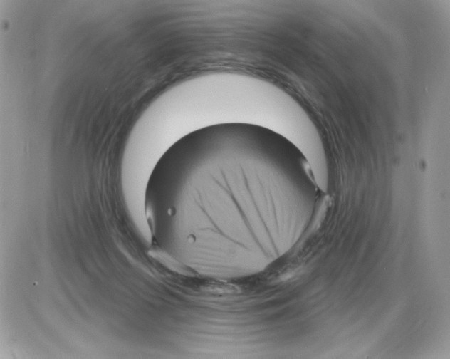 X0000085820215200704132020
