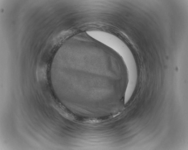 X0000085820217200704132020