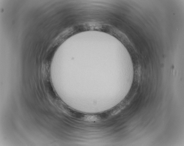 X0000085820218200704132020