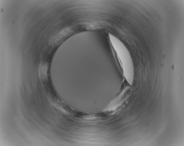 X0000085820219200704132020