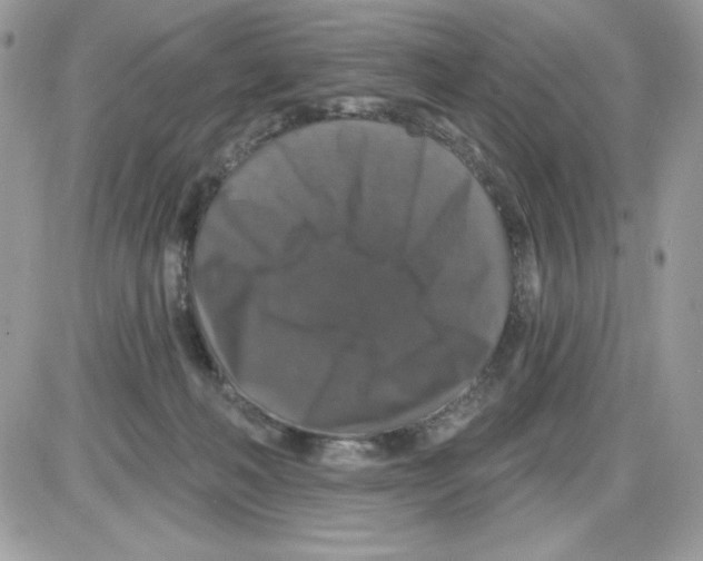 X0000085820222200704132020
