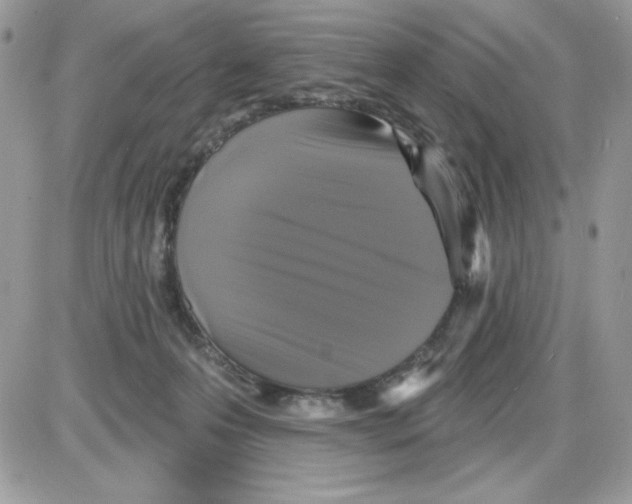 X0000085820223200704132020
