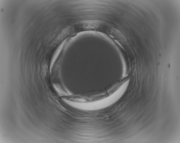 X0000085820227200704132020