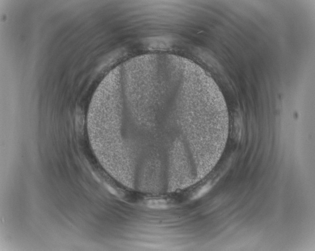 X0000085820228200704132020