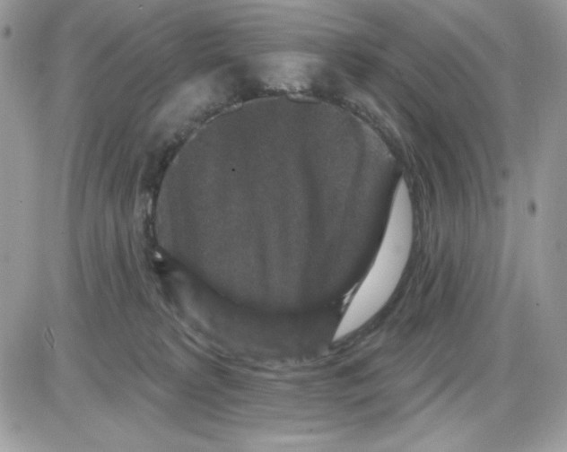 X0000085820229200704132020
