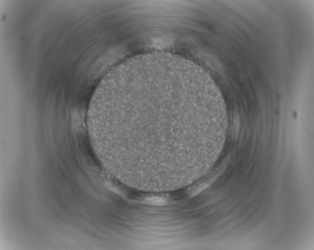 X0000085820236200704132020