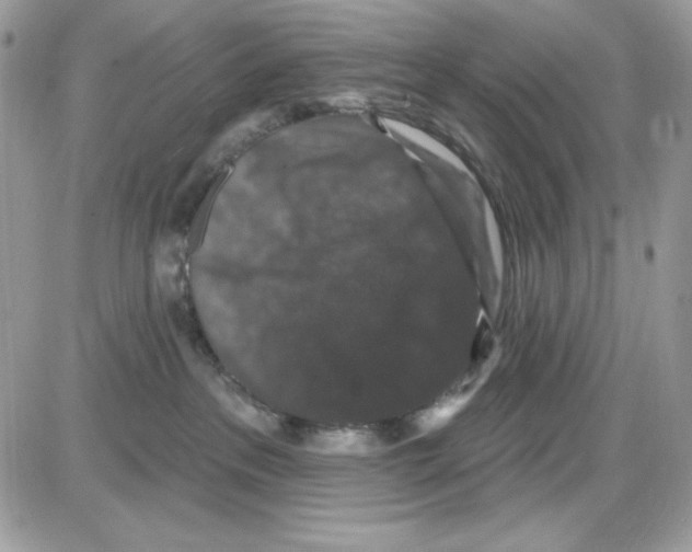 X0000085820237200704132020