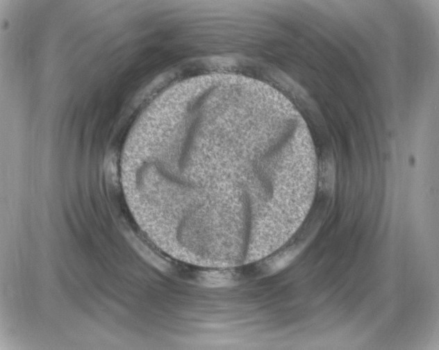 X0000085820238200704132020