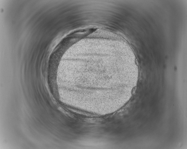 X0000085820241200704132019